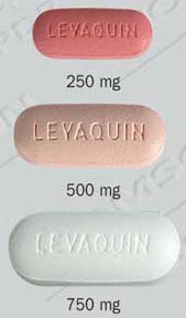 kamagra oral jelly dejstvo kamagra oral jelly out of date