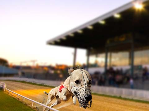 wellbutrin sr for adhd wellbutrin nicotine